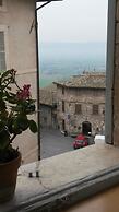 Camere Carli