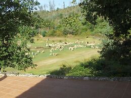 Mansion in Dao Valley by River Beach