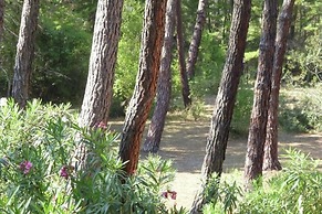 Holiday Home Grosseto Near Uccellina Beaches