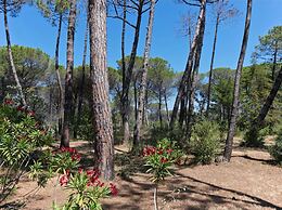 Holiday Home Grosseto Near Uccellina Beaches