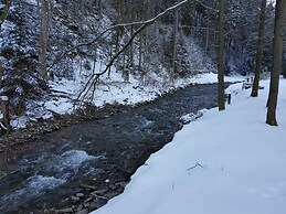 Alpine Stay in Wildemann