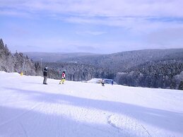 Chalet in Schnett Near Ski Slopes
