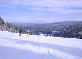 Chalet in Schnett Near Ski Slopes