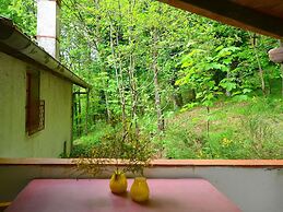 Peaceful Retreat With Shared Pool