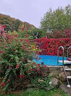 Gemutliches Ferienhaus mit Pool in Blankenburg