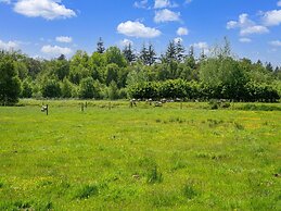 Cottage in Dwingelderveld With Scenic Views