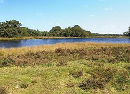 Cottage in Dwingelderveld With Scenic Views