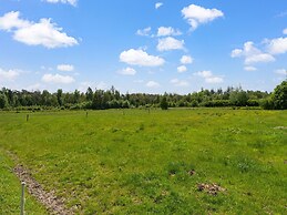 Cottage in Dwingelderveld With Scenic Views