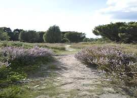 Holiday Home Mantinge Near Nature Reserve
