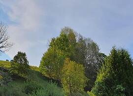 Sunny Escape in Borstendorf