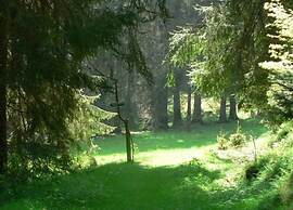 Sunlit Retreat With Garden