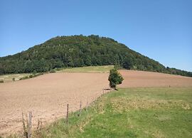 Wohnung in Hoxter Nahe Schloss Corvey