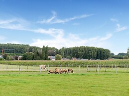 Charming Nieuwpoort Mill Retreat