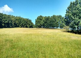 Meadow View Cottage in Winterstein Thuringia near Ski Area