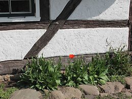 Ferienwohnung in Reddelich for 4 Personen
