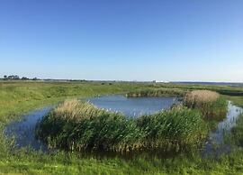 Insel- Bungalow auf Poel