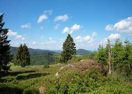 Apartment Near Willingen & Winterberg Ski Slopes