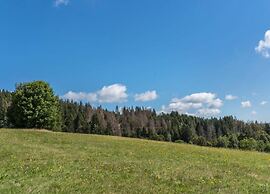 Geraumige Wohnung in Dachsberg-urberg