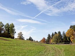 Geraumige Wohnung in Dachsberg-urberg