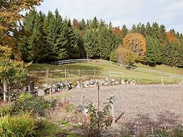 Geraumige Wohnung in Dachsberg-urberg