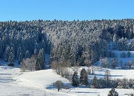Geraumige Wohnung in Dachsberg-urberg