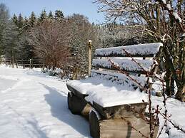 Geraumige Wohnung in Dachsberg-urberg