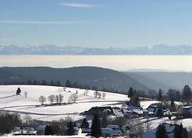 Geraumige Wohnung in Dachsberg-urberg