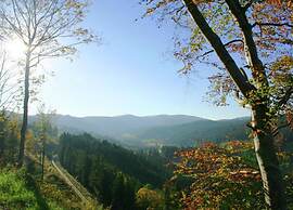 Geraumige Wohnung in Dachsberg-urberg