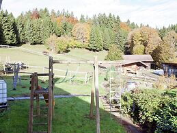Geraumige Wohnung in Dachsberg-urberg
