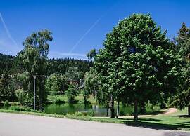 Geraumige Wohnung in Dachsberg-urberg