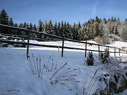 Geraumige Wohnung in Dachsberg-urberg