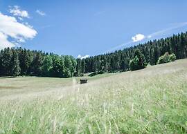 Geraumige Wohnung in Dachsberg-urberg