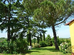 Farmhouse in Vinci With Pool & Vineyards