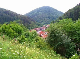 Einfamilienhaus in Zorge