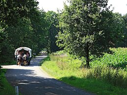 Atmospheric Bungalow in Exloo With Bicycles Available