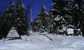 Apartment in Tabarz Near Thuringian Forest
