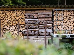 Quiet Home Near Vessertal