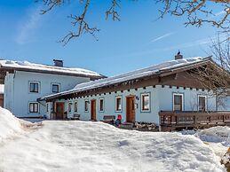 Spacious Apartment in Mittersill near Ski Points