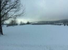 Spacious Holiday Home in Neukirchen near Forest