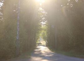 Hillesheim Romantic Escape