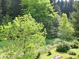 Rustic Black Forest Getaway