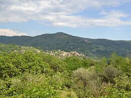 Tranquil Cottage, San Quirico