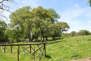 Peaceful Retreat in Ferrieres