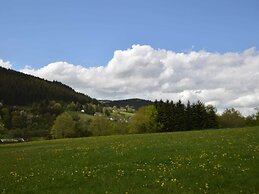Comfy Apartment in Zendscheid near Forest