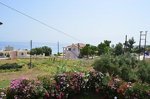 Studios Petra