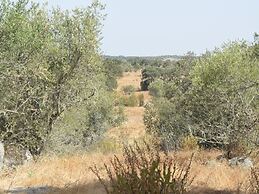Tranquil Alentejo Villa With Pool