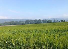 Group Stay in Ulmen-furth