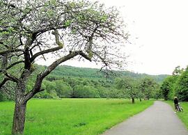 Group Stay in Ulmen-furth