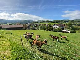 Apartment in Bavaria Near Forest
