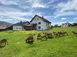 Apartment in Bavaria Near Forest